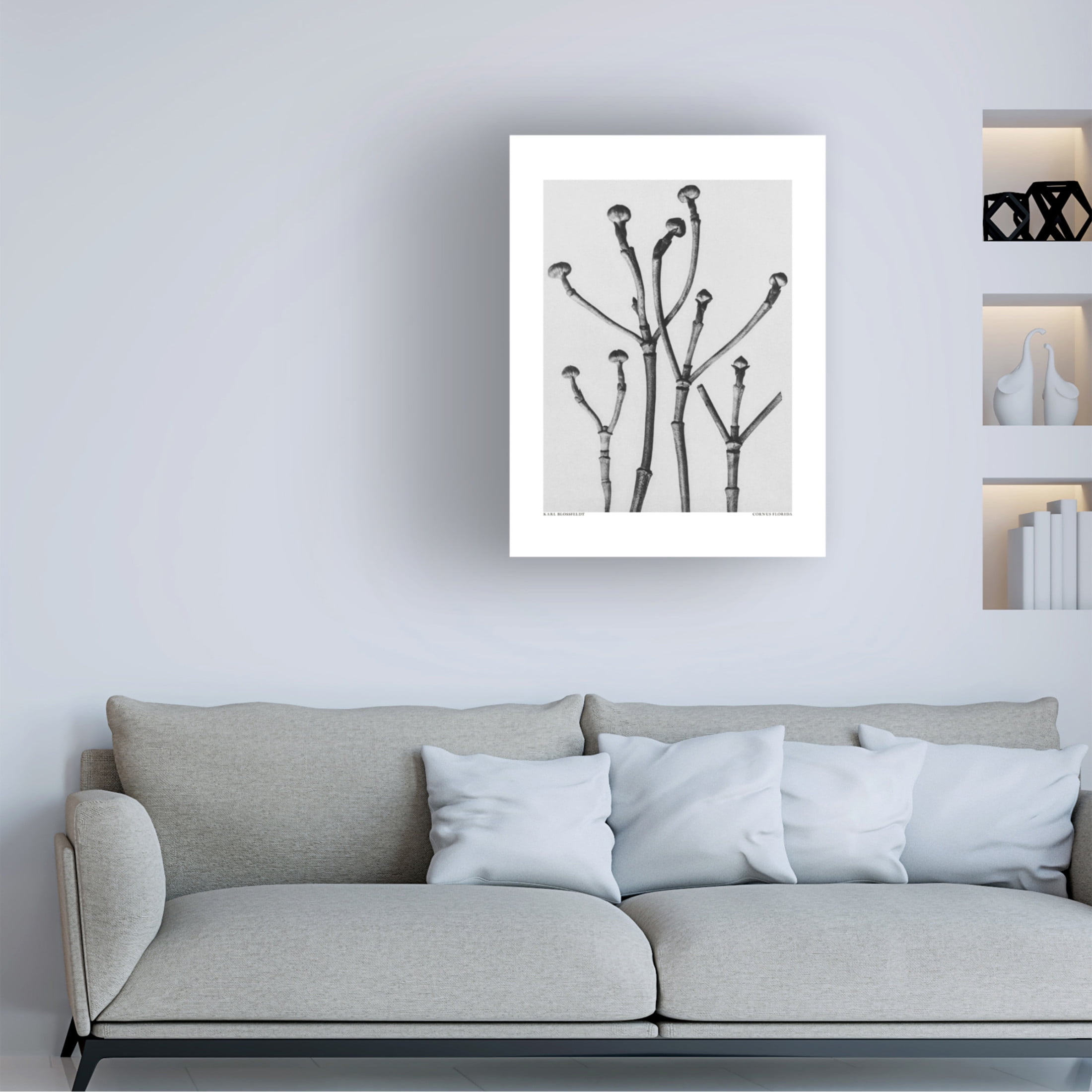 Trademark Fine Art Pictufy Cornus Florida Canvas Wall Art