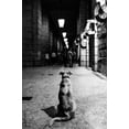 thumbnail image 2 of Perino, Alessandro 22x32 White Modern Wood Framed Museum Art Print Titled - The Wait, 2 of 4