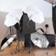 thumbnail image 4 of Kit de iluminación profesional Sunnimix soporte de luz Fotografía grabación video, 4 of 8