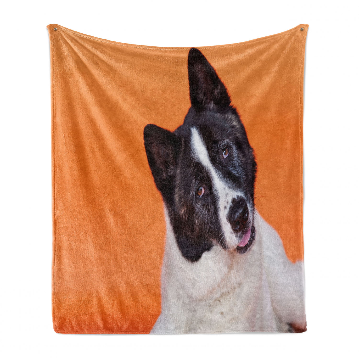 Ambesonne Dog Lover Soft Flannel Fleece Throw Blanket Pet Photo of Domestic Akita Breed on Tangerine Tones Cozy Plush for Indoor and Outdoor Use 60 x 80 Orange Charcoal Grey
