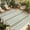 Green, Sage, variant on Indoor Outdoor Area Rugs,Birds Silhouette on Rustic Branches Washable Patio Rug Non-slip Quick Dry Camping Rugs,Blue Bird Animal on White Floor Carpet for Porch Deck Backyard RV Decor,4x6ft