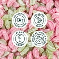 thumbnail image 5 of SmartSweets Sourmelon Bites, Candy with Low Sugar (3g), Low Calorie, Plant-Based, Free From Sugar Alcohols, No Artificial Colors or Sweeteners, 1.8 Ounce, 5 of 6