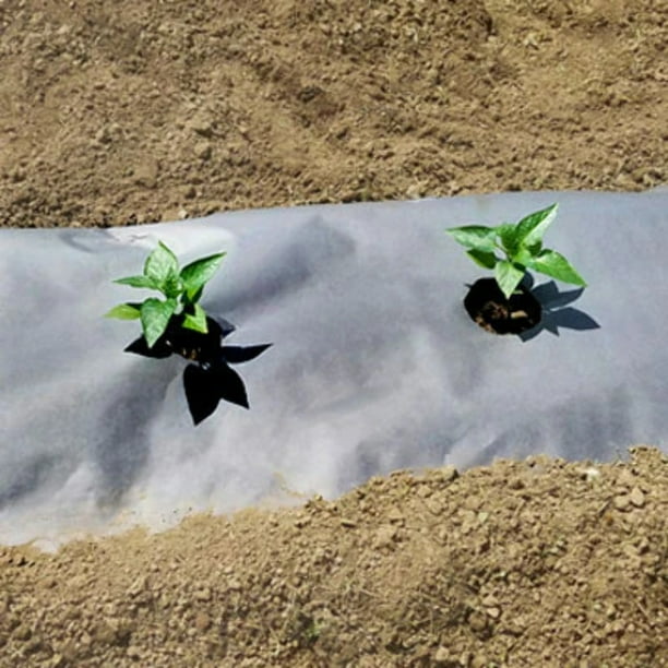 Planters Paper Mulch 24 x 50'