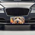 thumbnail image 3 of Soft Coated Wheaten Terrier Dog Pop Art Metal Novelty License Plate, 3 of 7