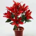 thumbnail image 1 of Baohd Add Beauty To Any Setting With Artificial Flowers And Plants Silk Artificial Flowers For Decorations Fake Flowers red 1Set, 1 of 6