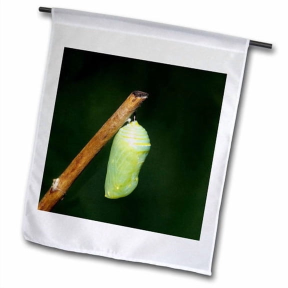 3dRose, Monarch, Danaus Plexippus, pupa, chrysalis, Marion County, Illinois, 12 x 18 inch Garden Flag