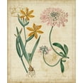 thumbnail image 2 of Vision Studio 12x14 White Modern Wood Framed Museum Art Print Titled - Botanical Repertoire I, 2 of 4