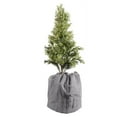 thumbnail image 1 of Bolsa protectora multiusos para macetas, cubierta de de invierno, bolsa de tela antiescarcha para jardín al aire libre, invierno , shamjiam cubierta a prueba de heladas, 1 of 8