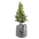 thumbnail image 2 of Fundas protectoras para jardineras Protector de jardín Funda protectora para macetas gris grande, 2 of 9