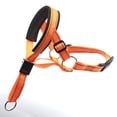 thumbnail image 2 of Dog Head Halter With Safety Strap, Dog Head Collar With Reflective Strap, No-pull Dog Collar Adjustable Dog Harness Training, 2 of 5