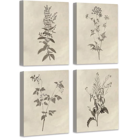 𝗗𝗿𝘀𝗼𝘂𝗺 Botanical Plant Wall Art Vintage Flower Prints Boho Floral Artwork Decor Mid Century Modern Framed Wall Art for Bedroom Living Room Bathroom Home or Office 8"x10",Set of 4,𝗙𝗿𝗮𝗺𝗲𝗱