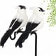 thumbnail image 1 of Pájaro Artificial Pájaro Artificial Espuma artificial pluma loro artesanía imitación pájaro modelo decoración (blanco), 1 of 4