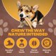 thumbnail image 4 of Masticables para perros WhiteTail Naturals de asta de alce y ciervo rojo, 6 unidades, 4 of 9
