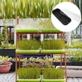 thumbnail image 4 of Trays Plant Grow Starter Greenhouse Kit Propagator Mini Germination Boxes Growing Garden Seeds Hydroponics Tray, 4 of 6