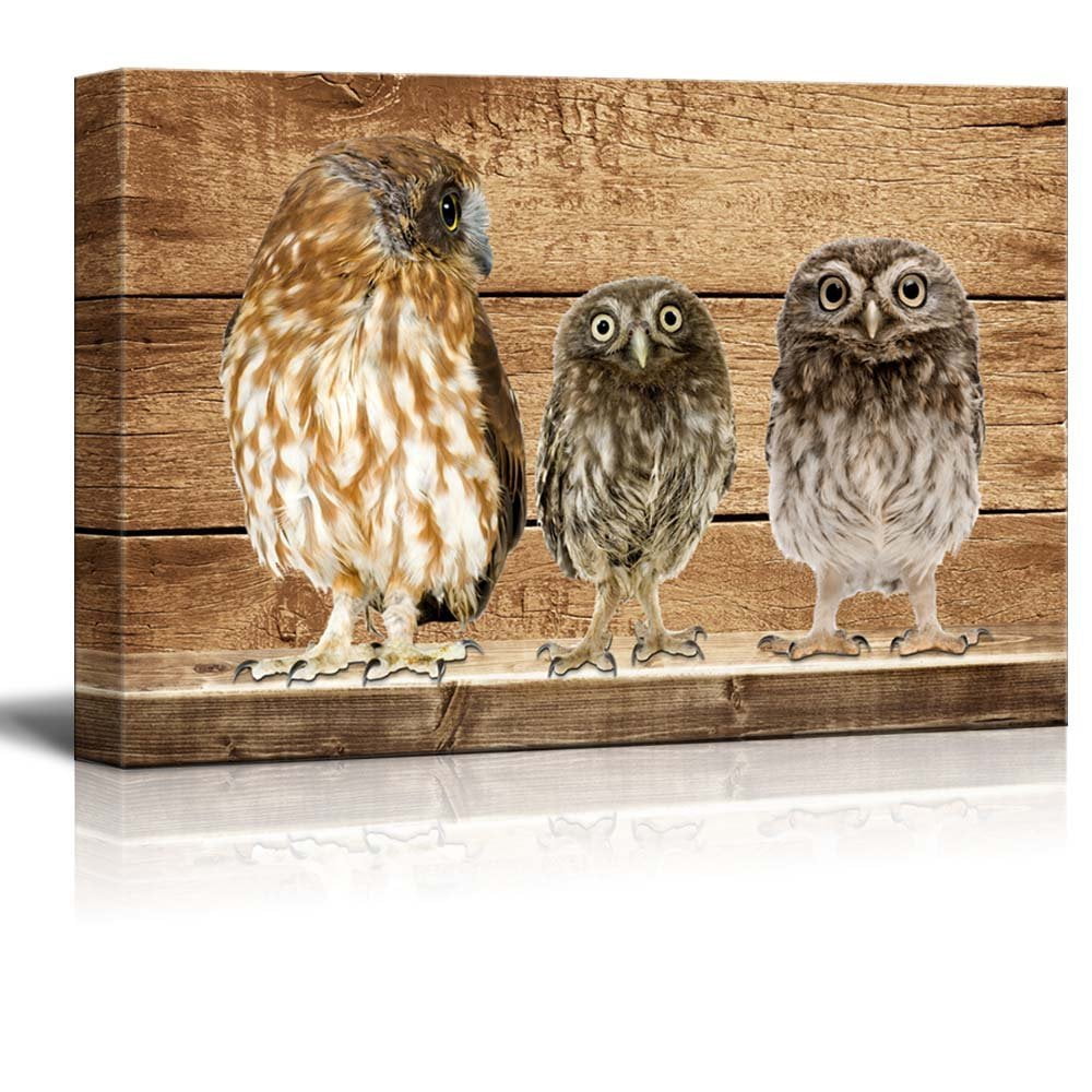 Wall26 Rustic Canvas Wall Art Three Owls Giclee Print Modern Wall