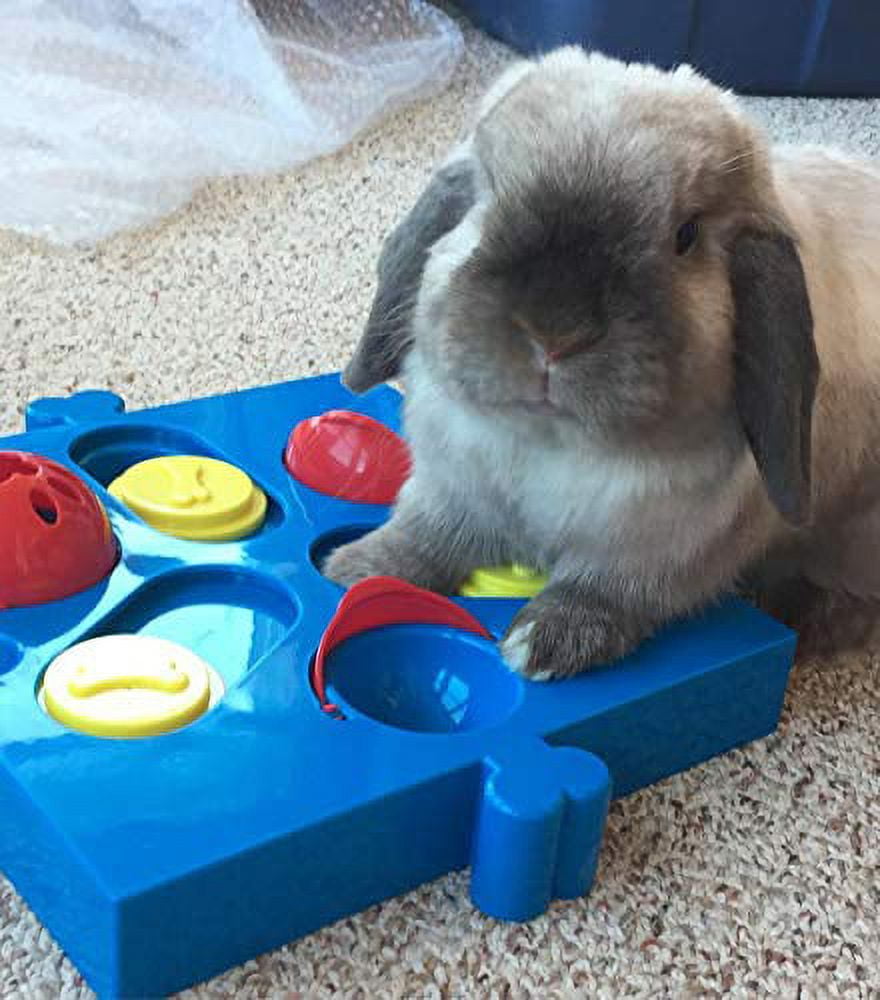 Spot Seek-A-Treat Flip 'N Slide Connector Puzzle Interactive Dog Treat and Toy Puzzle