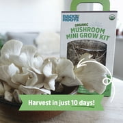 Back to the Roots Organic Pearl Oyster Mushroom Mini Grow Kit, for Indoor Gardening and Cooking