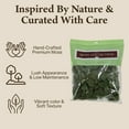 thumbnail image 3 of Preserved Reindeer Moss - Premium Decorative Moss for Crafts, Home Décor, Art, Design & DIY Projects - Real Moss - Non-Toxic, USA-Made (Basil, Medium (2-Pack), 3 of 6