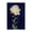 Rose Bloom Botanical, variant on Stupell Industries Victorian Hydrangea on Black Canvas Art, 16 x 20, by Danhui Nai