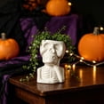 thumbnail image 6 of Ceramic Skull Planters, White Skeleton Bust Flower Pots, Halloween Tabletop Decor for Small Plants, 6 of 7