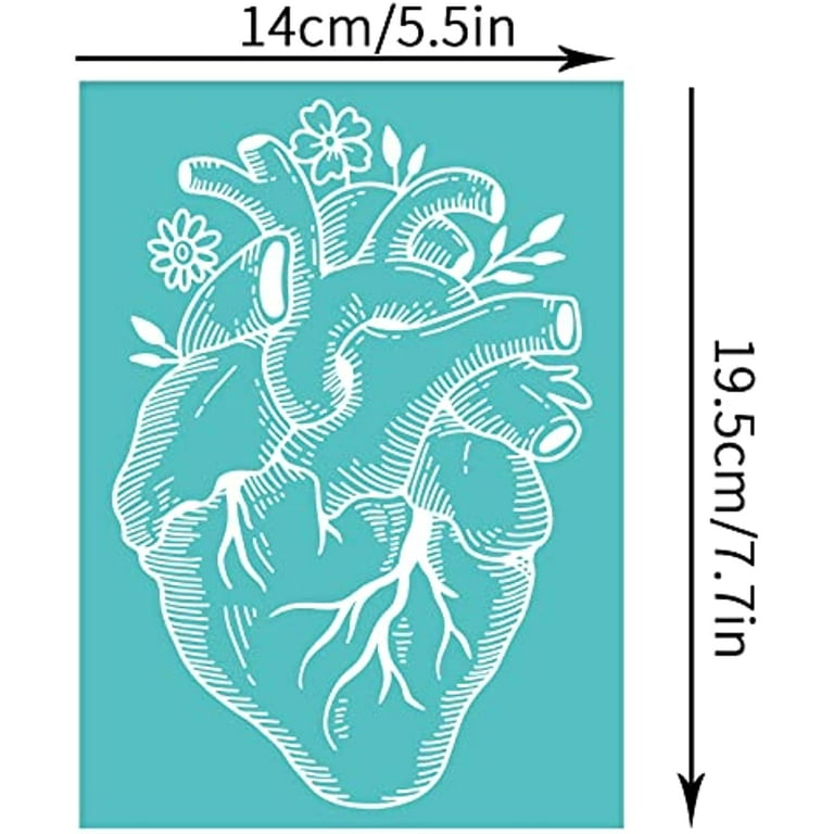 Anatomical Heart Stencil