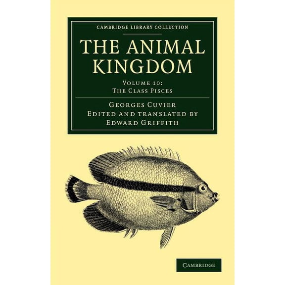 The Animal Kingdom - Volume 10, (Paperback)