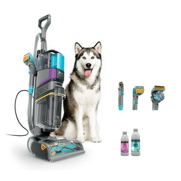 Shark CarpetXpert Upright Corded Vacuum Cleaner, with HairPro StainStriker Technology, Built-in Spot & Stain Eliminator, with 12oz Deep Clean Pro and 16oz Oxy Multiplier, EX300, Gray