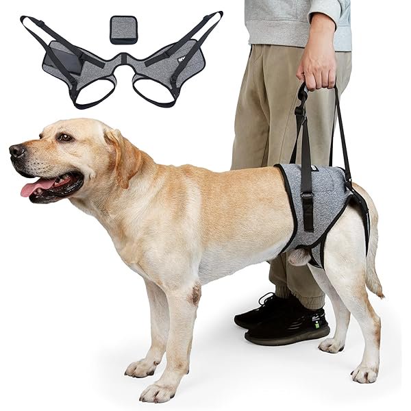 wonima02 Dog Lift Harness, Dog Sling for Medium Large Dogs, Adjustable Dog Support Harness for Back Legs, Comfy Design Pet Harness with Padded for Elderly, Injured, Arthritic, Senior, Disabled Dogs