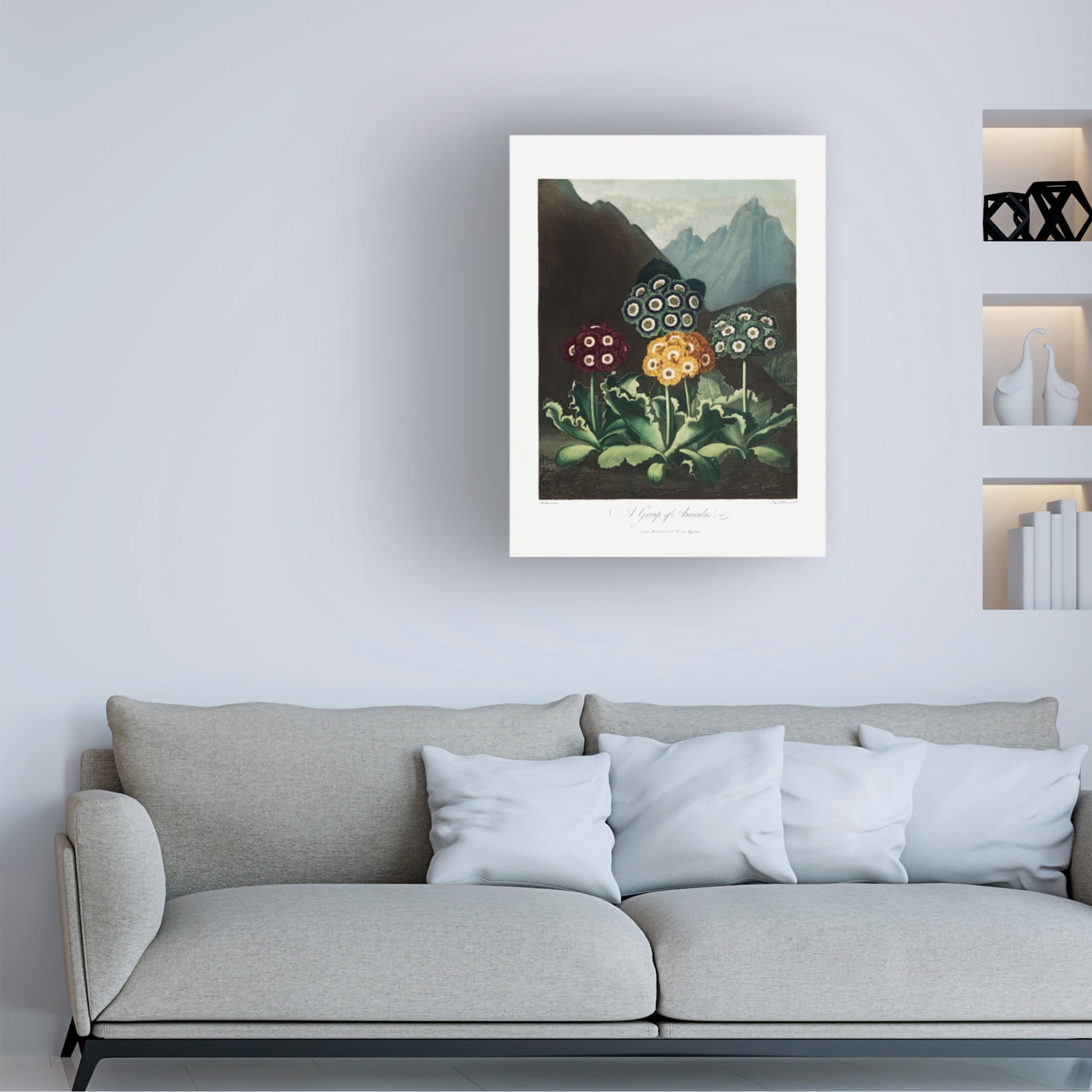 Trademark Fine Art Pictufy A Group of Auriculas from The Temple of Flora 1807 Canvas Wall Art