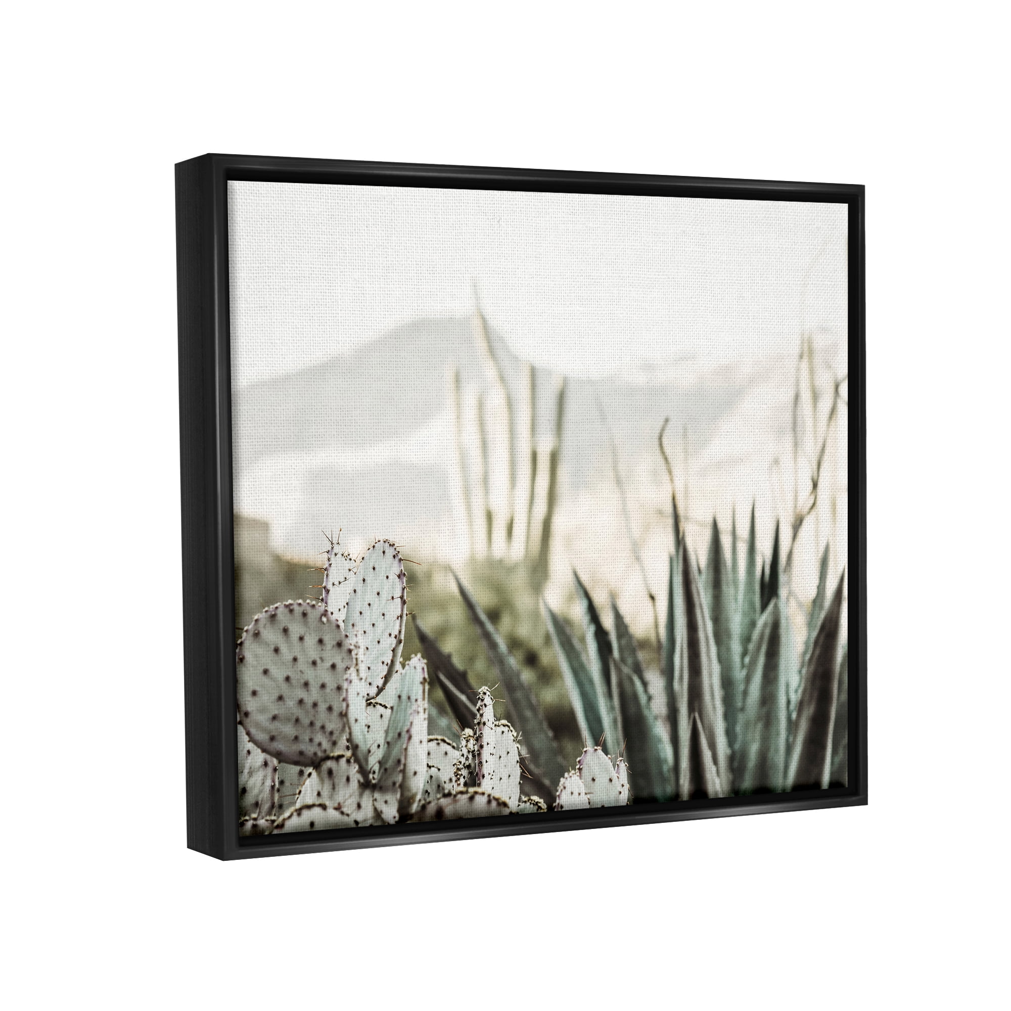 Stupell Industries Desert Cacti Photography Landscape Photography Black Floater Framed Canvas Art Print Wall Art, 31 x 25