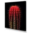 thumbnail image 2 of Designart "Red And Ebony Cactus Tower" Cactus Wall Decor, 2 of 7