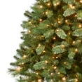 thumbnail image 4 of Puleo International 7.5 Pre-Lit Teton Pine Artificial Christmas Tree with 600 Clear UL-listed Lights, 4 of 6