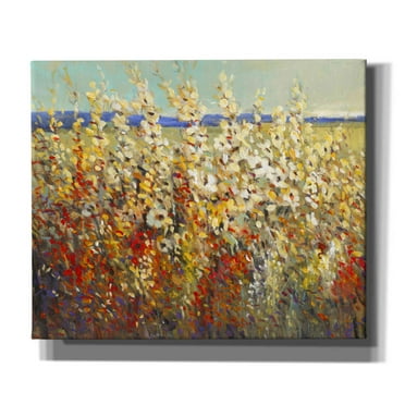 Epic Graffiti 'Field of Spring Flowers II' by Tim O'Toole, Canvas Wall Art, 24"x20"