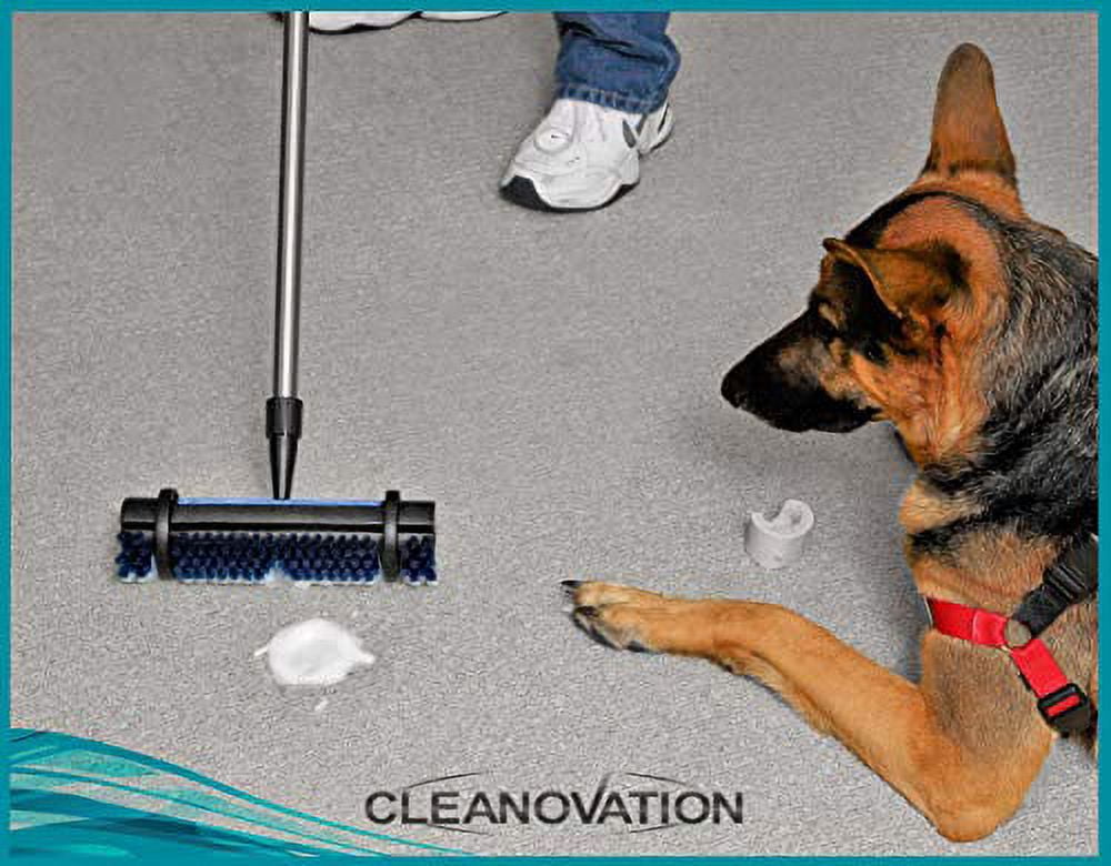  CLEANOVATION Rug Renovator/Carpet Cleaning Brush