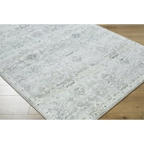 BoutiqueRugs Cheree Traditional Area Rug - Silver Gray, Slate Blue, Metallic Silver - 5'3" x 7'