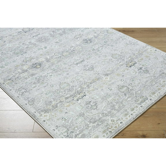 BoutiqueRugs Cheree Traditional Area Rug - Silver Gray, Slate Blue, Metallic Silver - 5'3" x 7'