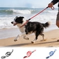 thumbnail image 1 of Pull-Proof Dog Leash with Slip Chain - Adjustable Nylon Leash for Medium & Small Dogs, Walking & Training, 1 of 6