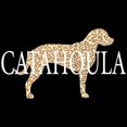 thumbnail image 3 of CafePress - Catahoula Leopard Dogs - Women's Dark Pajamas, 3 of 4
