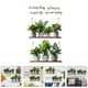 thumbnail image 3 of 1 juego de calcomanías de pared con plantas en maceta, pegatinas adhesivas para ventanas y plantas verdes., 3 of 5