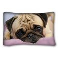 thumbnail image 1 of RYLABLUE Pug Dog Zippered Pillowcase Pillow Cases Cover Home Decorative By Pillow Cover Size 20x30 Inches Two Sided Print, 1 of 1