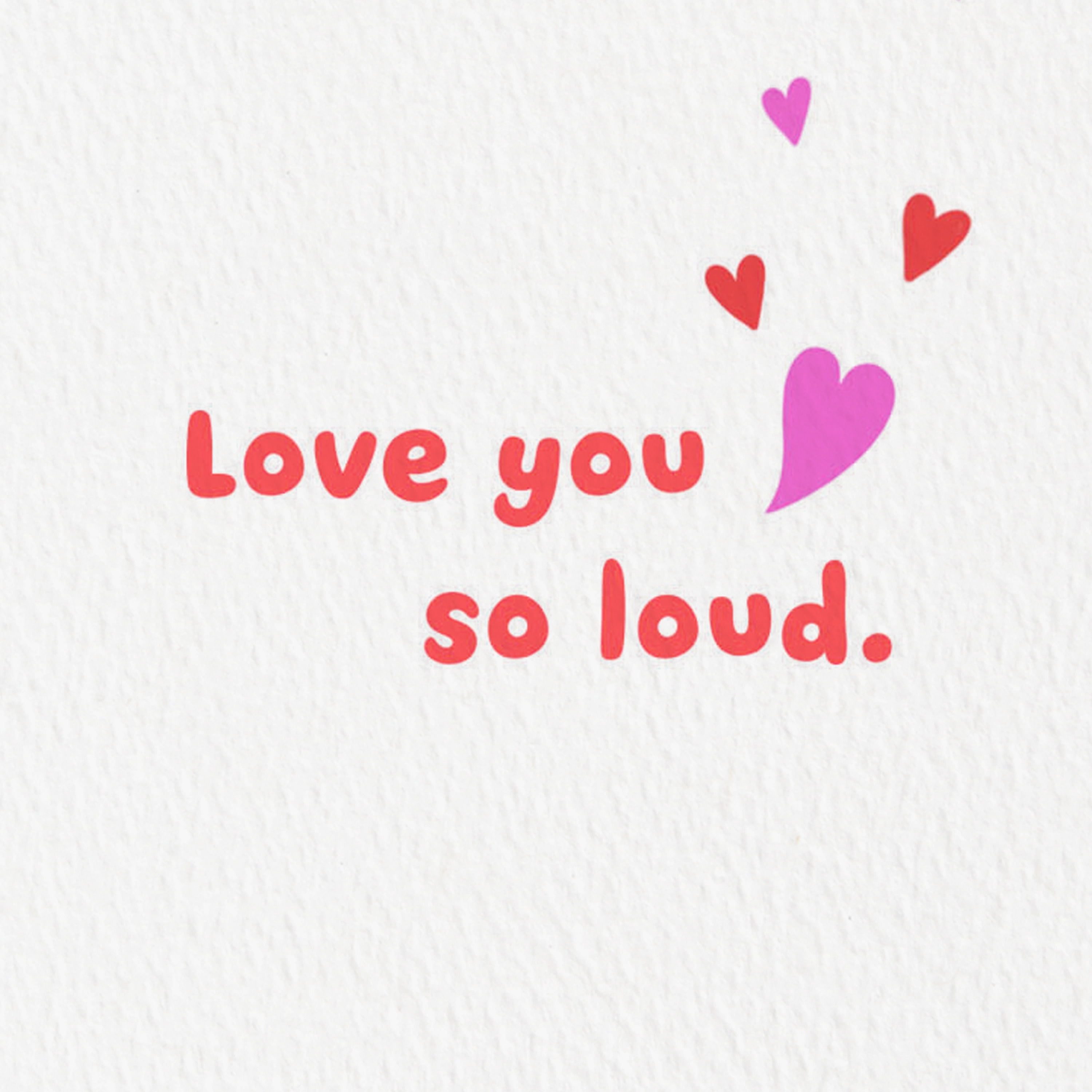 Hallmark Good Mail Anniversary or Valentine's Day Greeting Card (Love You So Loud)