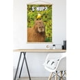 thumbnail image 5 of Capybara - S' Hup Wall Poster with Magnetic Frame, 22.375" x 34", 5 of 5