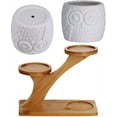 thumbnail image 3 of 3pcs Owl Succulent Pots with 3 Tier Bamboo Saucers Stand Holder - White Modern Decorative Ceramic Flower Planter with Drainage - Home Office Desk Garden Mini Cactus Plant Pot Indoor Decoration, 3 of 7