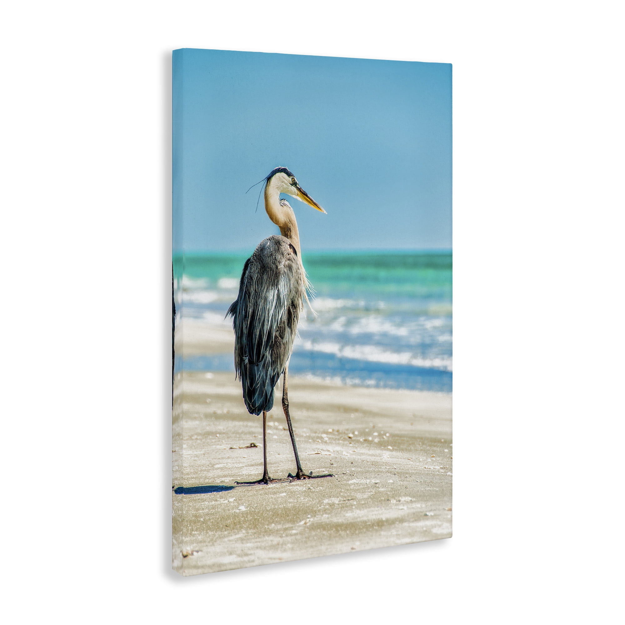 Stupell Industries Reflective Beach Bird Nautical & Beach Photography Wrapped Canvas Art Print Wall Art, 24 x 36