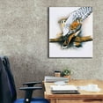 thumbnail image 3 of Epic Graffiti 'Elegant Raptor' by Barbara Keith, Canvas Wall Art, 26"x30", 3 of 8