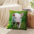 thumbnail image 4 of LALILO Throw Pillow Covers Young Pig Spring Green Grass Pig Farm Cushion Cover 18" x 18", 2 Pack, 4 of 6