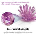 thumbnail image 2 of Crystal Growing Kit Vapeur Chimique Science Expérience Éducative Projets DIY Kits Laboratoire Expérience (Rouge), 2 of 8