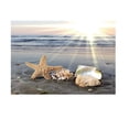 thumbnail image 3 of GROWTH TANK Aquarium 3D Digital Printing Single-sided Adhesive Background Sticker XL, 3 of 9