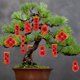 thumbnail image 3 of Colgante de Año Nuevo, decoración del Festival, adorno de árbol de la fortuna para celebración navideña, 3 of 3