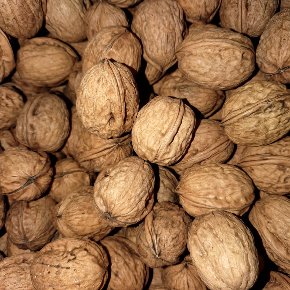 FirstChoiceCandy whole walnuts enclosed within their Shell - 10 Pound